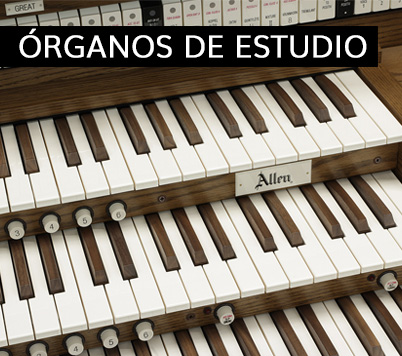 ORGANOS DE ESTUDIO